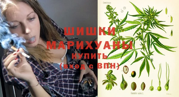 прущие крисы Магас
