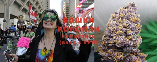 прущие крисы Магас
