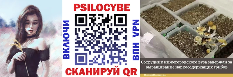 Галлюциногенные грибы Psilocybine cubensis  Нижневартовск 