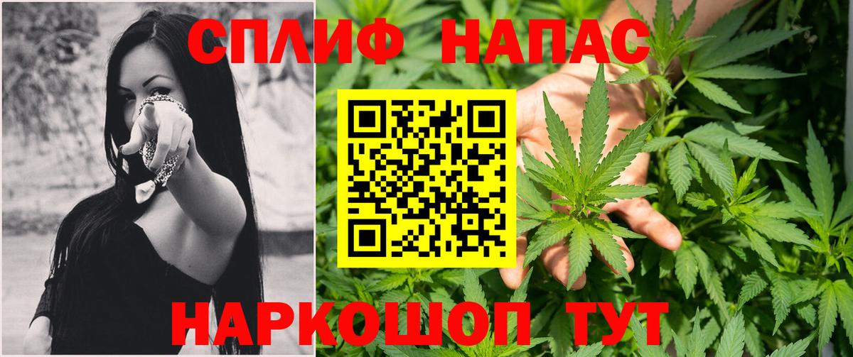 Каннабис сатива Нижневартовск